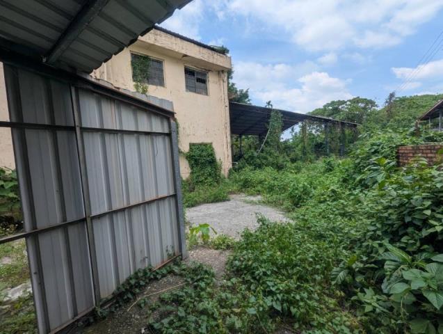 麟洛廠房-3